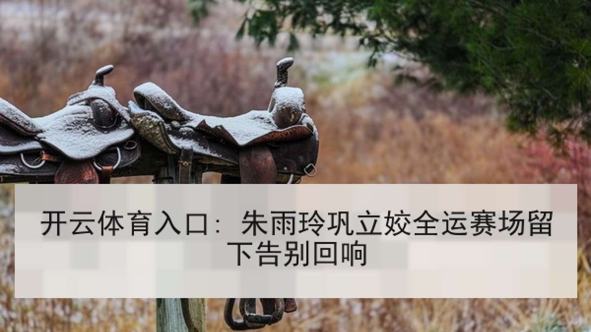 开云体育入口: 朱雨玲巩立姣全运赛场留下告别回响