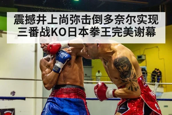 震撼井上尚弥击倒多奈尔实现三番战KO日本拳王完美谢幕