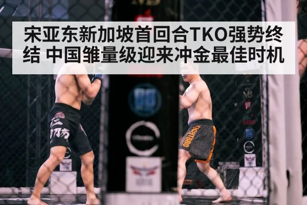MMA cage fight