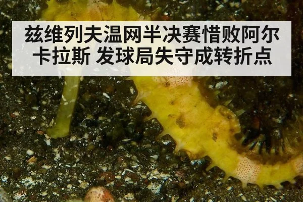 兹维列夫温网半决赛惜败阿尔卡拉斯 发球局失守成转折点